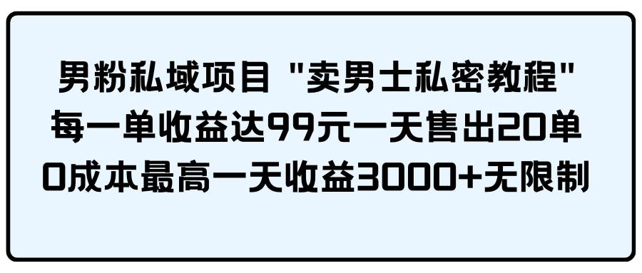 男粉私域项目 卖男士私密教程 每一单收益达99元一天售出20单-荔枝网络