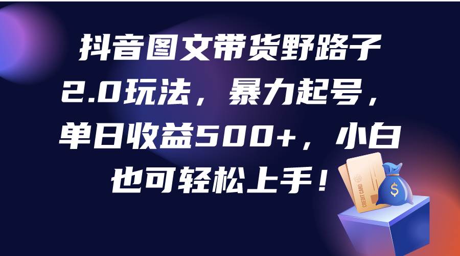 抖音图文带货野路子2.0玩法，暴力起号，单日收益500+，小白也可轻松上手！-荔枝网络
