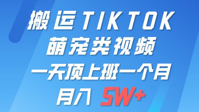 一键搬运TIKTOK萌宠类视频 一部手机即可操作 所有平台均可发布 轻松月入5W+-荔枝网络