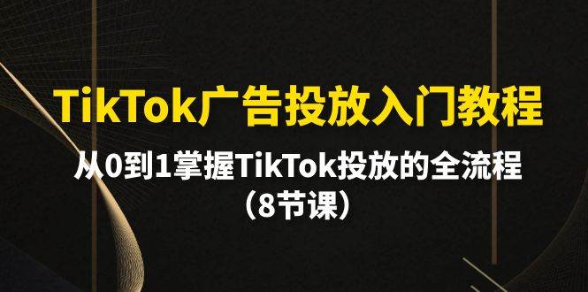 TikTok广告投放入门教程，从0到1掌握TikTok投放的全流程（8节课）-荔枝网络