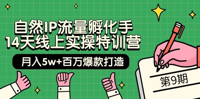 自然IP流量孵化手 14天线上实操特训营【第9期】月入5w+百万爆款打造 (74节)-荔枝网络