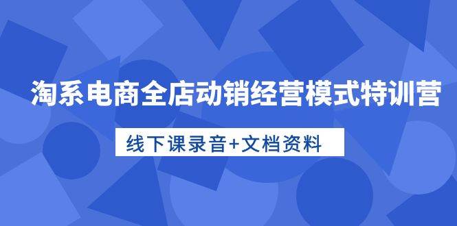 淘系电商全店动销经营模式特训营，线下课录音+文档资料-荔枝网络