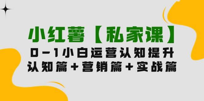 小红薯【私家课】0-1玩赚小红书内容营销，认知篇+营销篇+实战篇（11节课）-荔枝网络