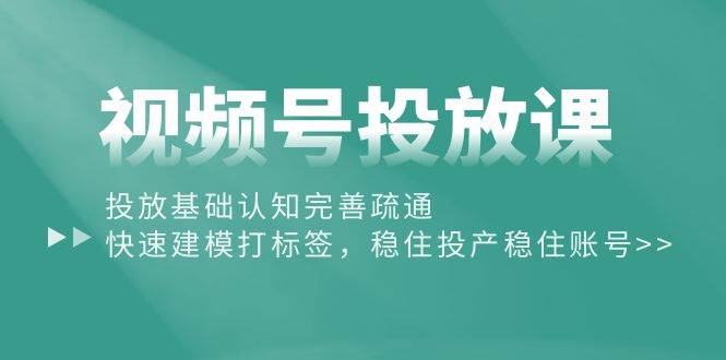 视频号投放课：投放基础认知完善疏通，快速建模打标签，稳住投产稳住账号-荔枝网络
