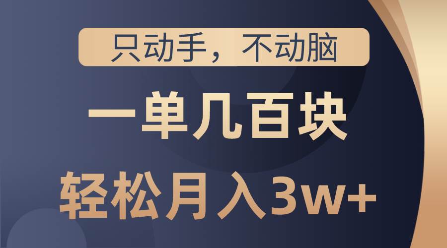 只动手不动脑，一单几百块，轻松月入3w+，看完就能直接操作，详细教程-荔枝网络