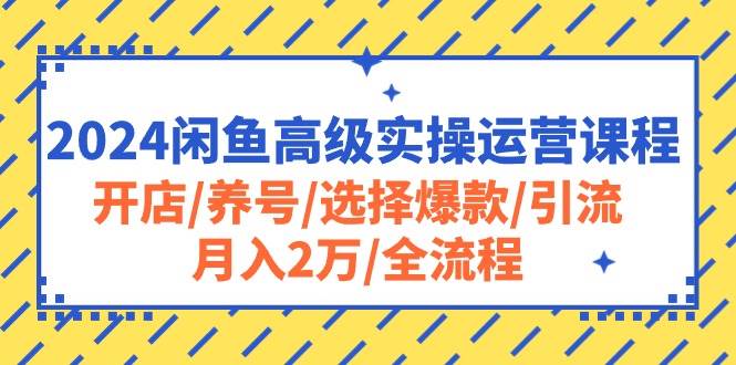 2024闲鱼高级实操运营课程:开店/养号/选择爆款/引流/月入2万/全流程-荔枝网络