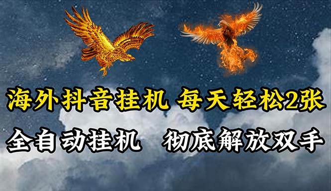 海外抖音挂机，全自动挂机，每天轻松两张-荔枝网络