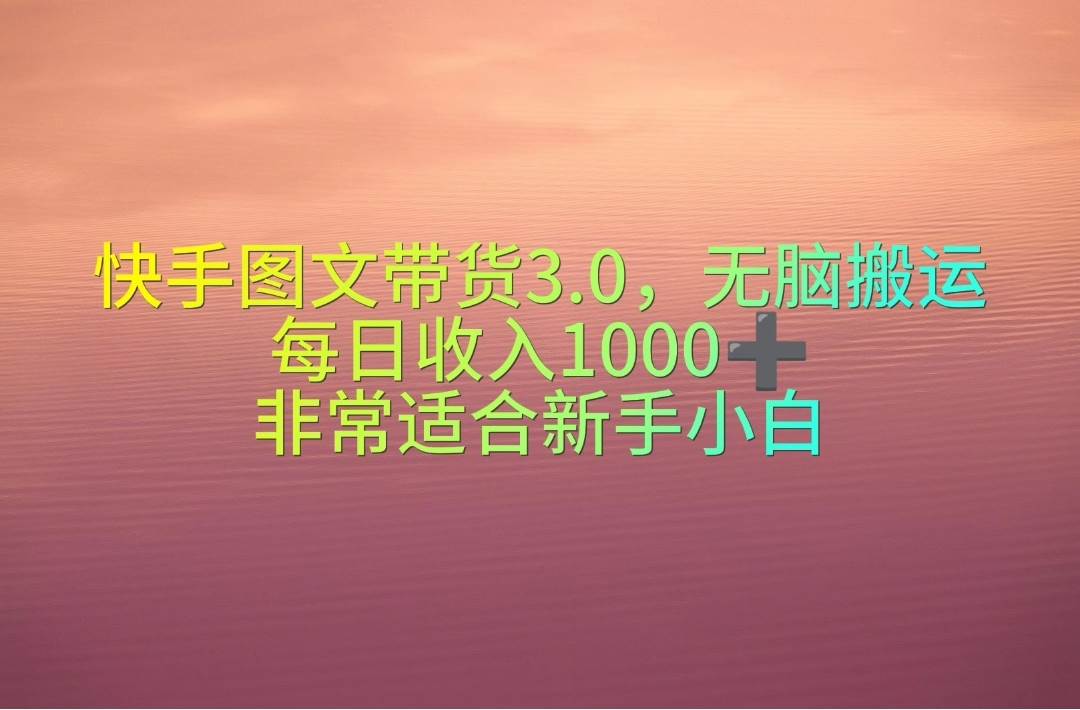 快手图文带货3.0，无脑搬运，每日收入1000＋，非常适合新手小白-荔枝网络