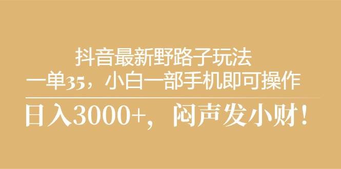 抖音最新野路子玩法，一单35，小白一部手机即可操作，，日入3000+，闷…-荔枝网络