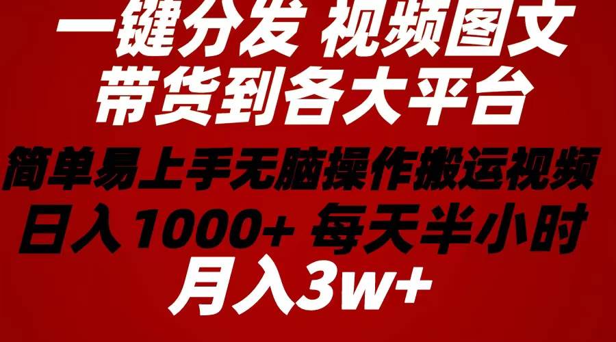 2024年 一键分发带货图文视频  简单易上手 无脑赚收益 每天半小时日入1…-荔枝网络
