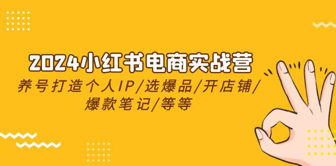2024小红书电商实战营，养号打造IP/选爆品/开店铺/爆款笔记/等等（24节）-荔枝网络