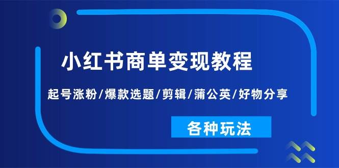 小红书商单变现教程：起号涨粉/爆款选题/剪辑/蒲公英/好物分享/各种玩法-荔枝网络