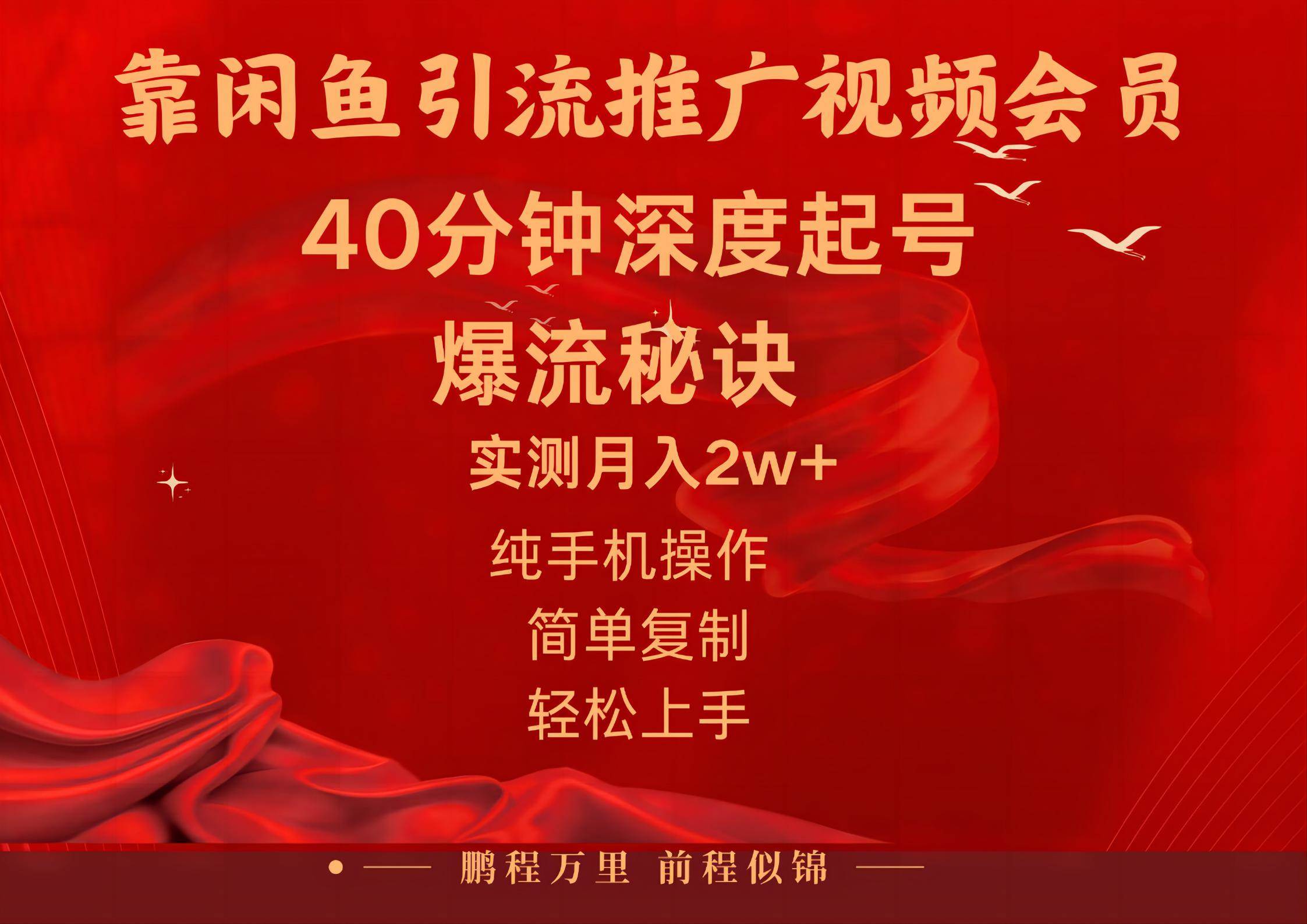 闲鱼暴力引流推广视频会员，能做到日入2W+，操作简单-荔枝网络