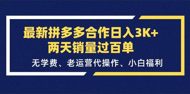 最新拼多多合作日入3K+两天销量过百单，无学费、老运营代操作、小白福利-荔枝网络