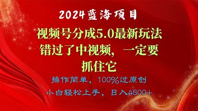2024蓝海项目，视频号分成计划5.0最新玩法，错过了中视频，一定要抓住…-荔枝网络