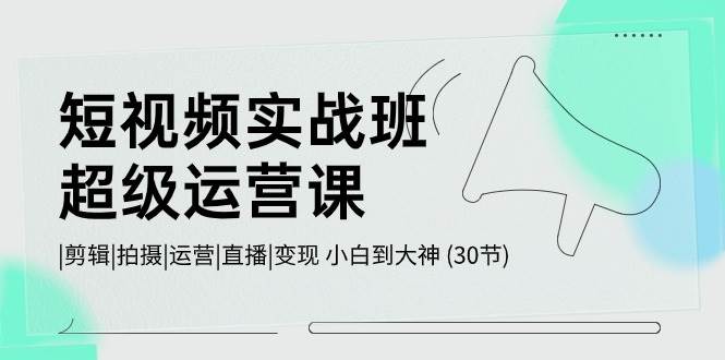 短视频实战班-超级运营课，|剪辑|拍摄|运营|直播|变现 小白到大神 (30节)-荔枝网络