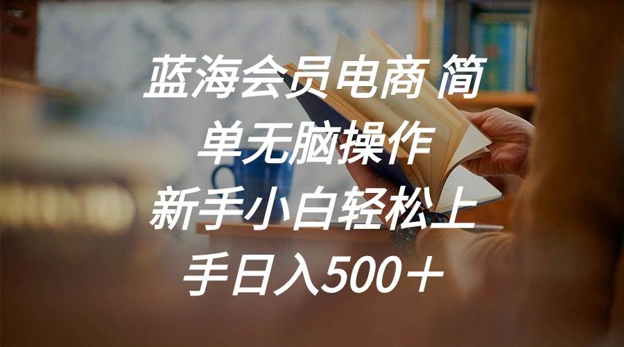 蓝海会员电商 简单无脑操作 新手小白轻松上手日入500＋-荔枝网络