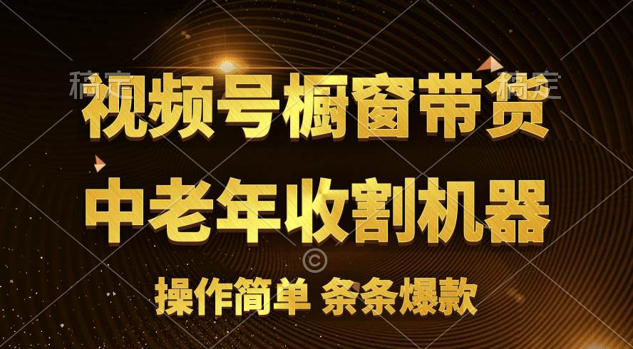 [你的孩子成功取得高位]视频号最火爆赛道，橱窗带货，流量分成计划，条…-荔枝网络