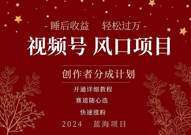 拥有睡眠收益的微信视频号大风口项目，轻松月入过万+，多赛道选择，可…-荔枝网络
