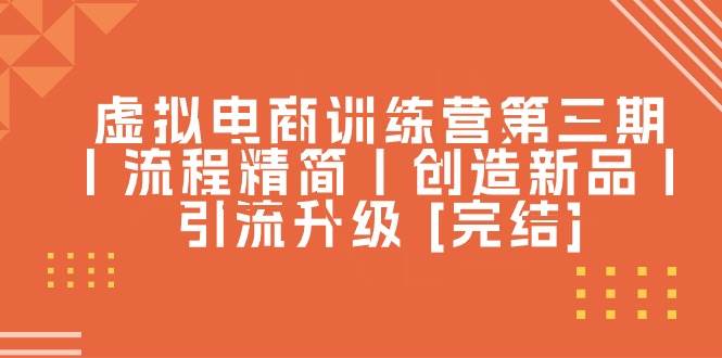 虚拟电商训练营第三期丨流程精简丨创造新品丨引流升级 [完结]-荔枝网络