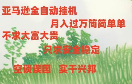 亚马逊全自动浏览挂机-荔枝网络