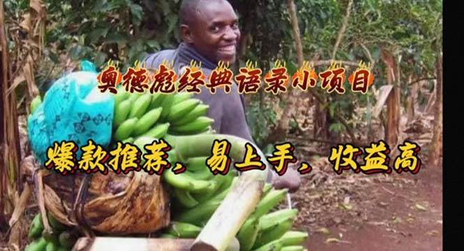 奥德彪经典语录小项目，爆款推荐，易上手，收益高-荔枝网络