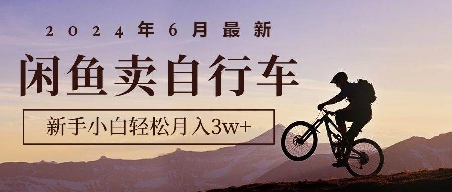 2024年6月最新闲鱼卖自行车，新手小白轻松月入3w+项目-荔枝网络