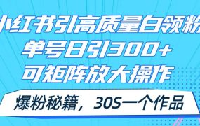 小红书引高质量白领粉，单号日引300+，可放大操作，爆粉秘籍！30s一个作品-荔枝网络