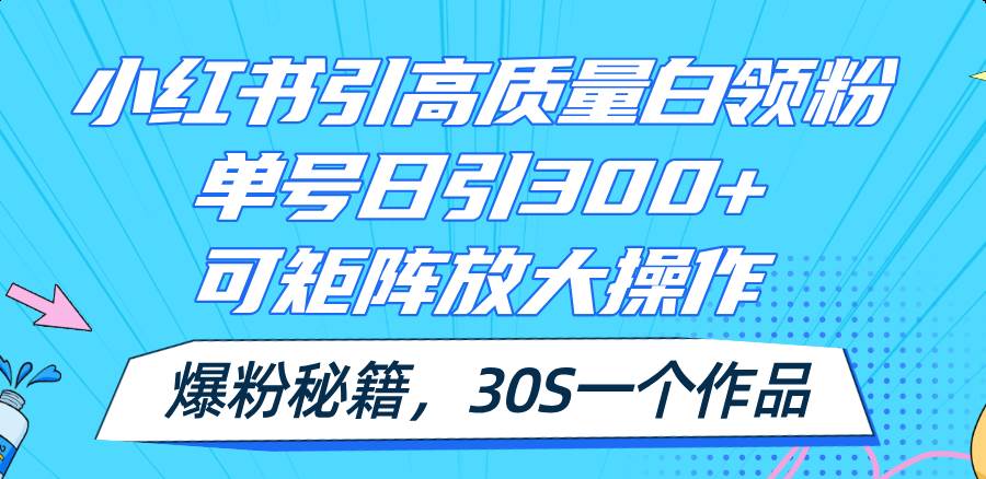 小红书引高质量白领粉，单号日引300+，可放大操作，爆粉秘籍！30s一个作品-荔枝网络