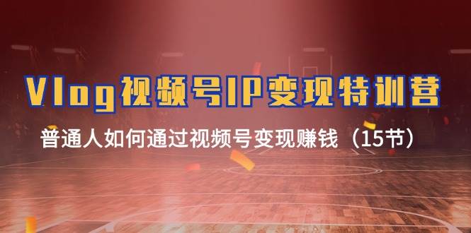 Vlog 视频号IP变现特训营，普通人如何通过视频号变现赚钱（15节）-荔枝网络