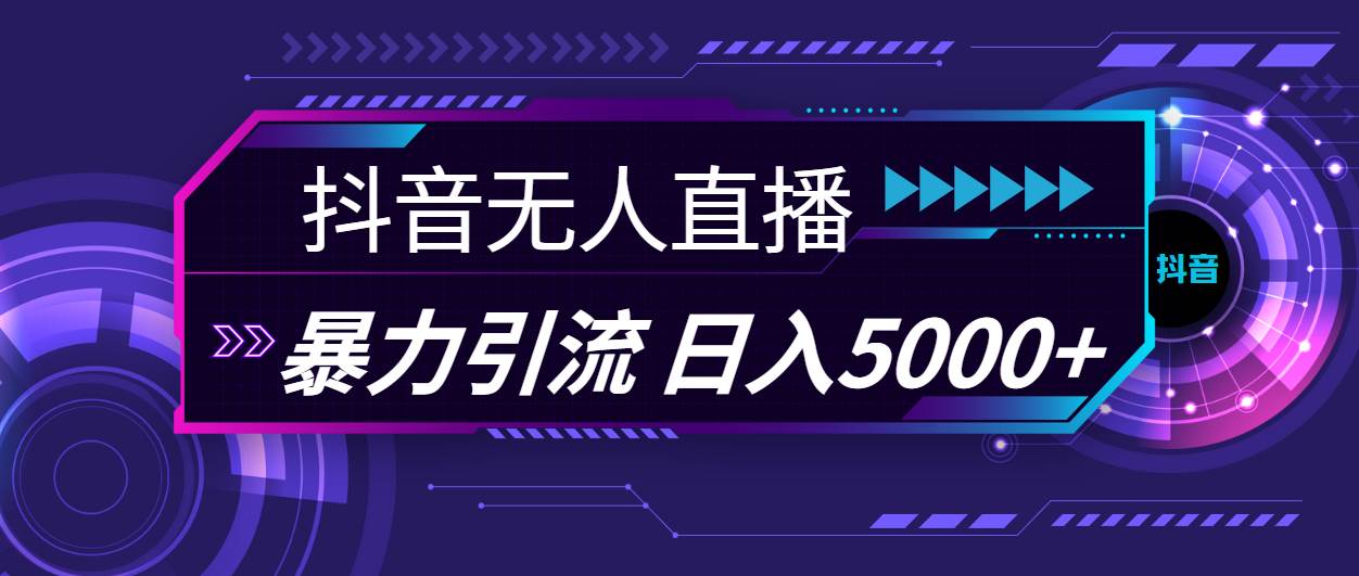 抖音无人直播，暴利引流，日入5000+-荔枝网络