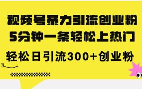视频号暴力引流创业粉,5分钟一条轻松上热门,轻松日引流300+创业粉-荔枝网络