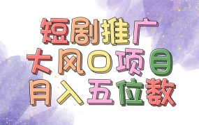 拥有睡眠收益的短剧推广大风口项目，十分钟学会，多赛道选择，月入五位数-荔枝网络