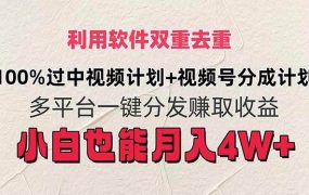 利用软件双重去重,100%过中视频+视频号分成计划小白也可以月入4W+-荔枝网络