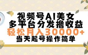 视频号AI美女，轻松月入30000+,操作简单轻松上手-荔枝网络