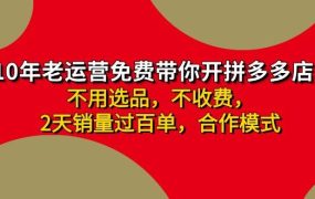 拼多多 最新合作开店日收4000+两天销量过百单,无学费、老运营代操作、...-荔枝网络
