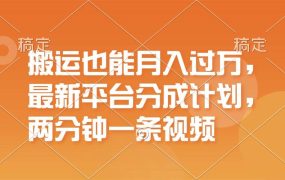 搬运也能月入过万，最新平台分成计划，一万播放一百米，一分钟一个作品-荔枝网络