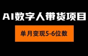 2024年Ai数字人带货，小白就可以轻松上手，真正实现月入过万的项目-荔枝网络