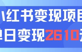 利用小红书卖资料单日引流150人当日变现2610元小白可实操(教程+资料)-荔枝网络
