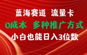 蓝海赛道 流量卡 0成本 小白也能日入三位数-荔枝网络