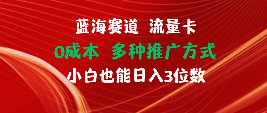蓝海赛道 流量卡 0成本 小白也能日入三位数-荔枝网络