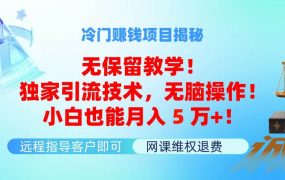 冷门赚钱项目无保留教学!独家引流技术,无脑操作!小白也能月入5万+!-荔枝网络