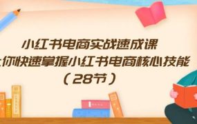 小红书电商实战速成课，让你快速掌握小红书电商核心技能（28节）-荔枝网络