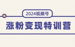 2024视频号-涨粉变现特训营:一站式打造稳定视频号涨粉变现模式(10节)-荔枝网络