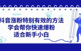 抖音涨粉特别有效的方法，学会帮你快速爆粉，适合新手小白-荔枝网络