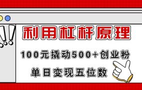 利用杠杆100元撬动500+创业粉,单日变现5位数-荔枝网络