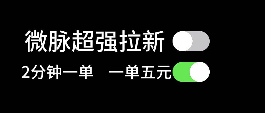 微脉超强拉新， 两分钟1单， 一单利润5块，适合小白-荔枝网络