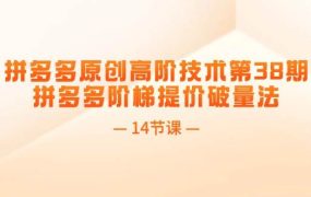 拼多多原创高阶技术第38期，拼多多阶梯提价破量法（14节课）-荔枝网络