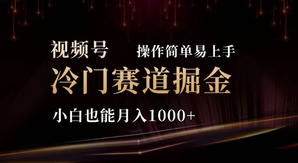 2024视频号冷门赛道掘金，操作简单轻松上手，小白也能月入1000+-荔枝网络