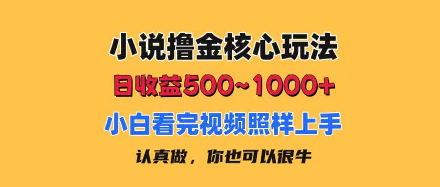 小说撸金核心玩法，日收益500-1000+，小白看完照样上手，0成本有手就行-荔枝网络